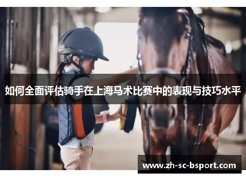 如何全面评估骑手在上海马术比赛中的表现与技巧水平
