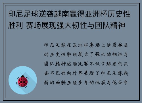 印尼足球逆袭越南赢得亚洲杯历史性胜利 赛场展现强大韧性与团队精神